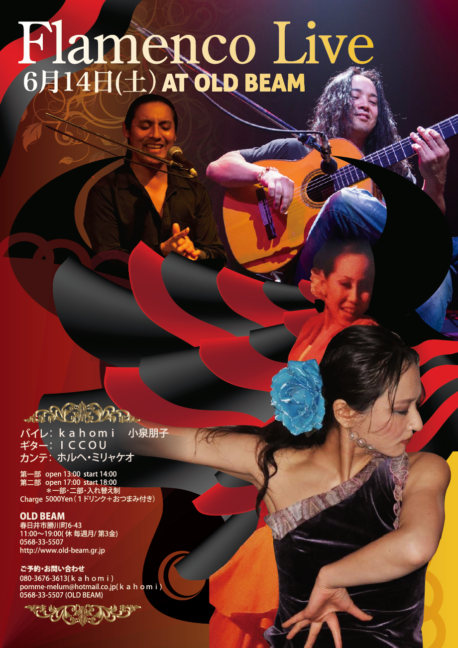名古屋市東区のホームページ制作 パンフレット制作 ポスター制作会社のOaK 制作実績 Kahomi Flamenco LIVE